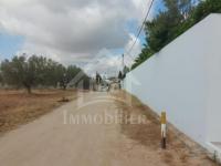 Terrain clôturé à vendre à Hammamet Sud à 300 dt/m² 51355351