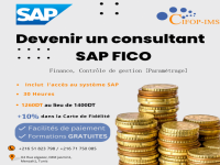 Formation SAP FICO paramétrage