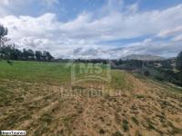 Terrain de 1 hectare à Hammamet sud à vendre 51355351