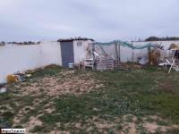 Terrain clôturé de 500 m² à vendre à Hammamet Sud 51355351