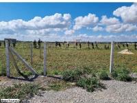 Un terrain clôturé de 1000 m² à vendre à Hammamet Sud 