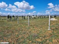 Un terrain clôturé de 1000 m² à vendre à Hammamet Sud 