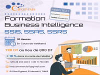 Formation en Business Intelligence