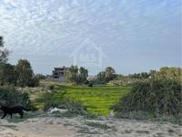 2 terrains vue de mer à vendre à Jinen Béni Khiar 51355351