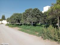 Un terrain de 423 m² dans la zone de Sidi Mahressi à vendre 
